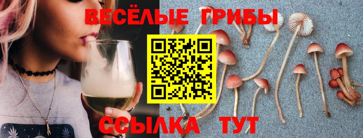Псилоцибиновые грибы Magic Shrooms  Вход с VPN  Галлюциногенные грибы GOLDEN TEACHER  Иваново 